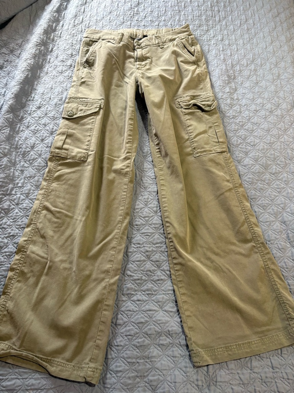 American Eagle Outfitters Olive-Tan Wide Leg Cargo Pants